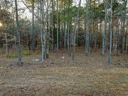 Undeveloped Land for sale in Carroll County, Tennessee