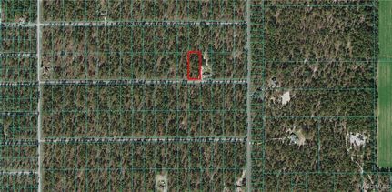 Land for sale in Levy County, Florida