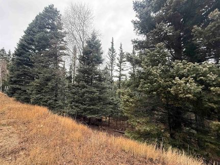 Land for sale in Colfax County, New Mexico