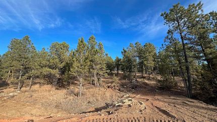 Land for sale in Custer County, South Dakota
