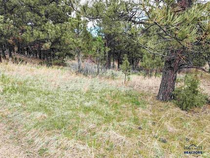 Undeveloped Land for sale in Custer County, South Dakota