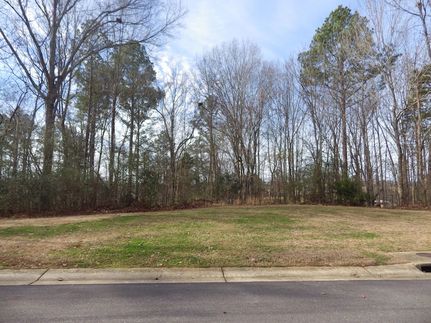 Land for sale in Oktibbeha County, Mississippi