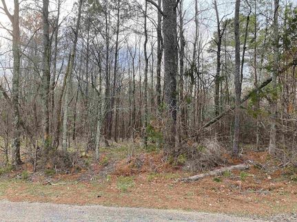 Homesite for sale in Hardin County, Tennessee