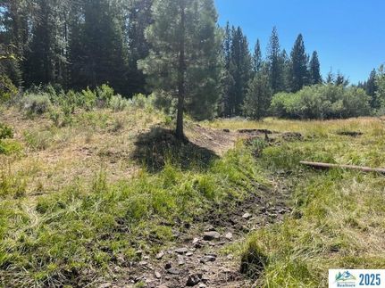 Land for sale in Lassen County, California