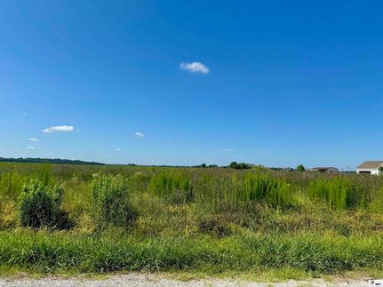 Land for sale in Richland Parish, Louisiana