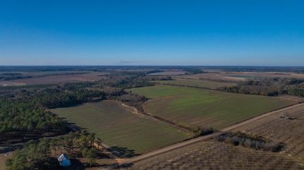 Land for sale in Mitchell County, Georgia
