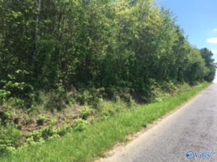 Land for sale in Cullman County, Alabama