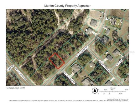 Undeveloped Land for sale in Marion County, Florida