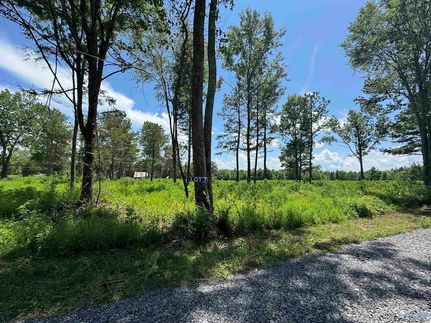 Land for sale in Marshall County, Alabama