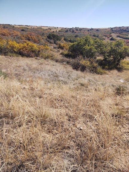 Land for sale in Pueblo County, Colorado