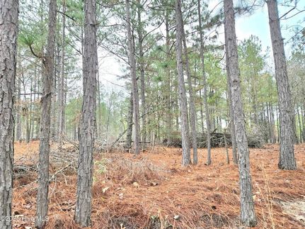 Undeveloped Land for sale in Moore County, North Carolina