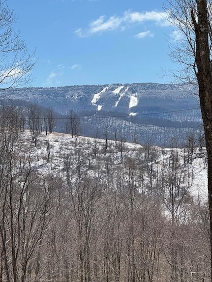 Land for sale in Pocahontas County, West Virginia