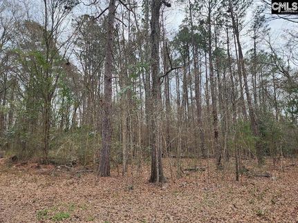 Homesite for sale in Newberry County, South Carolina