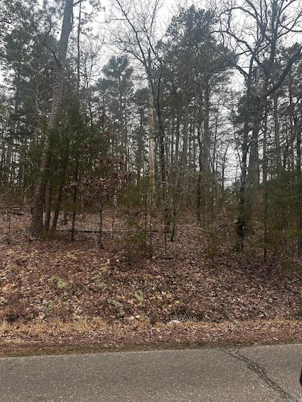 Land for sale in Saline County, Arkansas