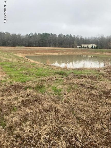 Land for sale in Benton County, Mississippi