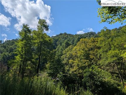 Undeveloped Land for sale in Ashe County, North Carolina