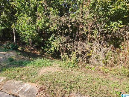 Land for sale in Jefferson County, Alabama