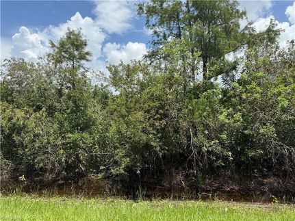 Land for sale in Collier County, Florida