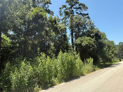 Undeveloped Land for sale in Harris County, Texas