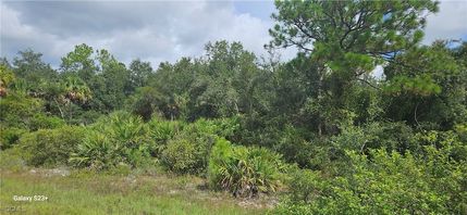 Land for sale in Hendry County, Florida