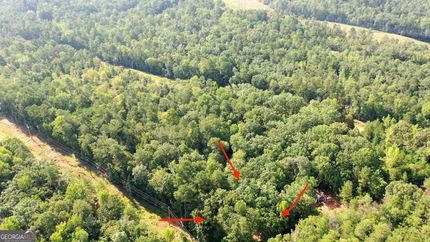 Land for sale in Hancock County, Georgia