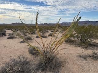 Land for sale in Mohave County, Arizona