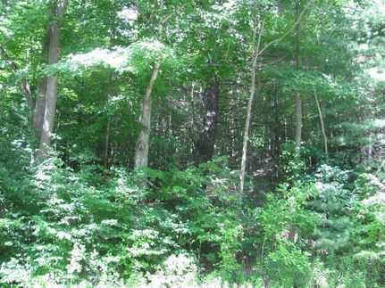 Land for sale in Steuben County, New York