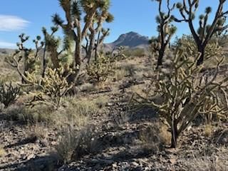 Homesite for sale in Mohave County, Arizona