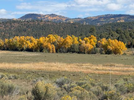 Land for sale in Rio Arriba County, New Mexico
