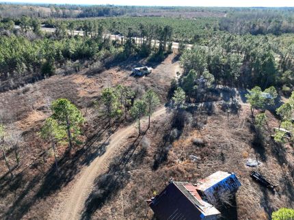 Land for sale in Telfair County, Georgia