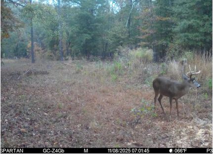 Land for sale in Macon County, Georgia