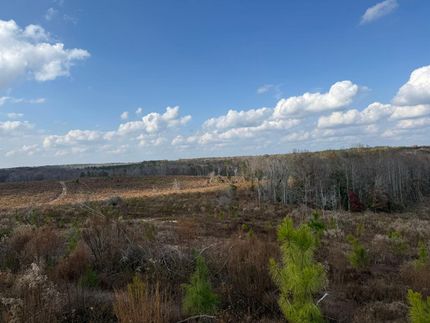 Land for sale in Macon County, Georgia