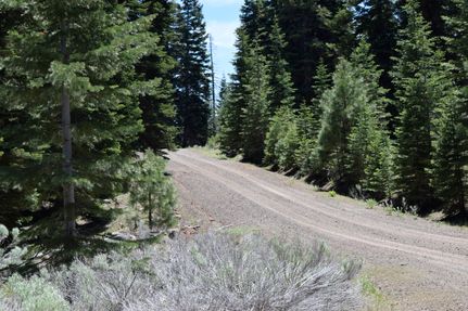 Land for sale in Modoc County, California