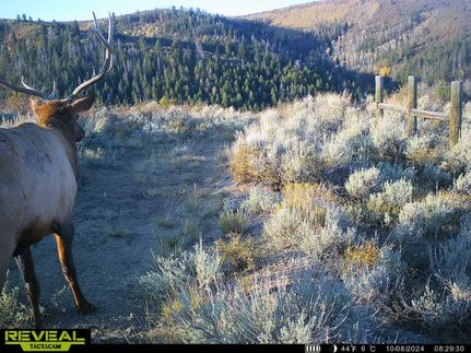 Land for sale in Garfield County, Colorado