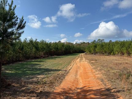 Land for sale in Marion County, Georgia