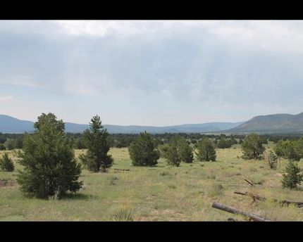 Land for sale in Catron County, New Mexico