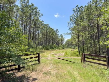 Land for sale in Trinity County, Texas