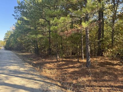 Homesite for sale in Red River County, Texas