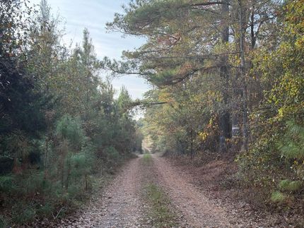Hunting Property for sale in Webster County, Georgia