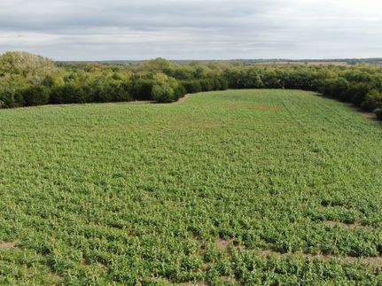 Timberland Property for sale in Osage County, Kansas