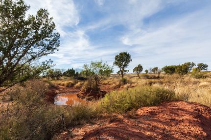 Land for sale in Taylor County, Texas