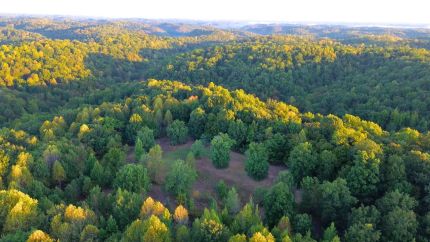 Land for sale in Davidson County, Tennessee