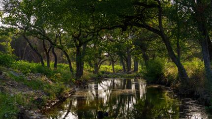 Riverfront Property for sale in Coryell County, Texas