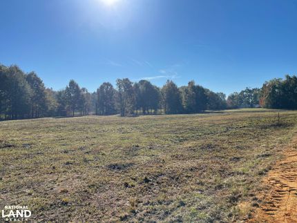 Land for sale in Wilcox County, Alabama