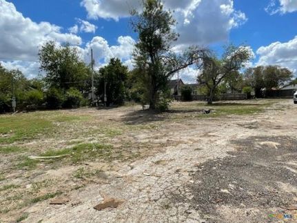 Land for sale in Karnes County, Texas