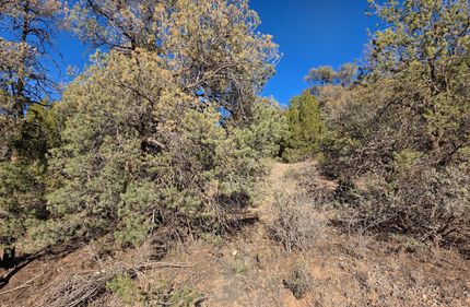 Homesite for sale in Grant County, New Mexico