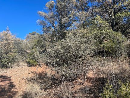 Homesite for sale in Grant County, New Mexico
