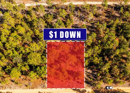 Undeveloped Land for sale in Putnam County, Florida