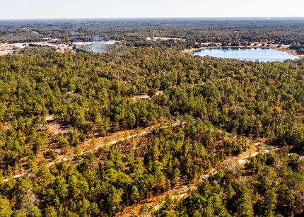Undeveloped Land for sale in Putnam County, Florida