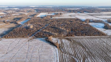 Land for sale in Fayette County, Illinois